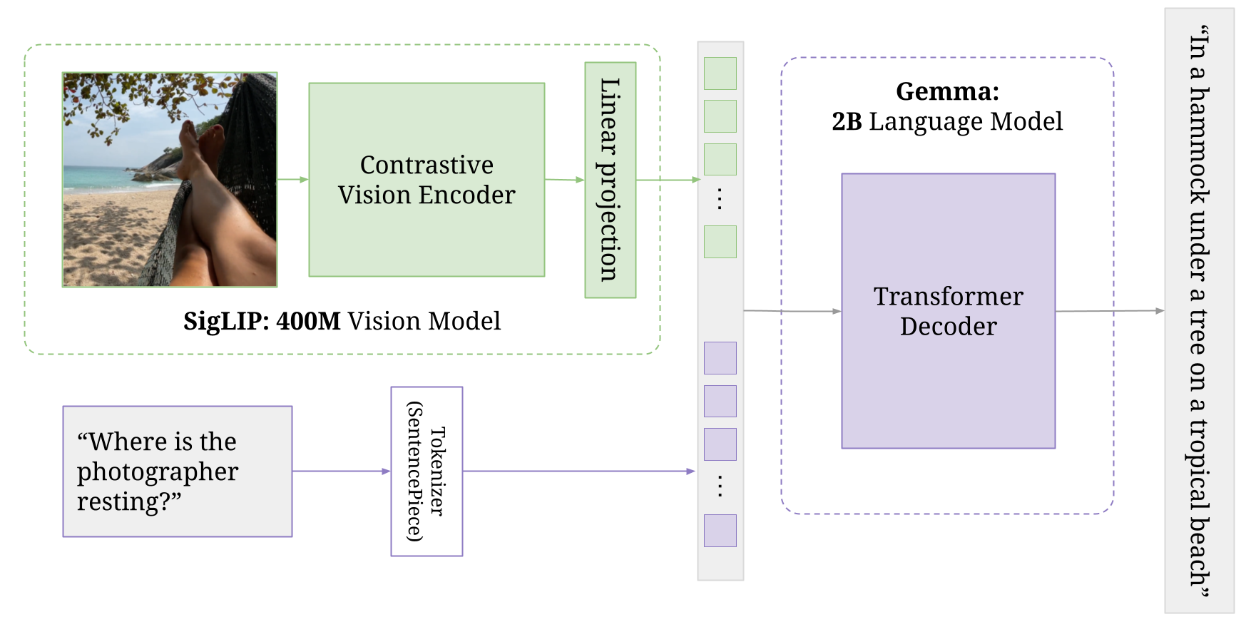 A visual language model's architecture